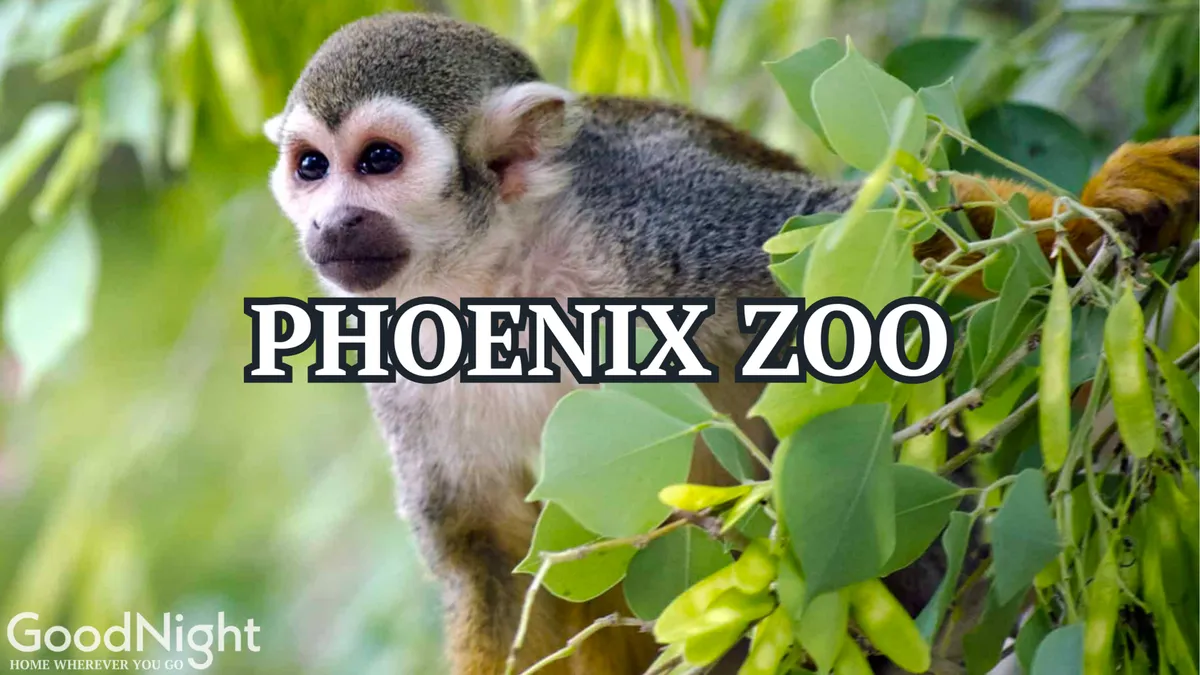A playful scene at the Phoenix Zoo featuring a squirrel monkey perched among lush green foliage with vibrant colors throughout the background. The environment feels lively and is clearly tailored for family outings and animal encounters.