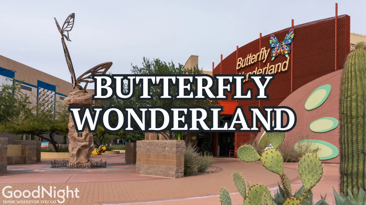 The entrance to Butterfly Wonderland, highlighted by a large butterfly sculpture, cacti, and well-maintained landscaping. The signage is clear, signaling a destination designed for wonder and educational fun.